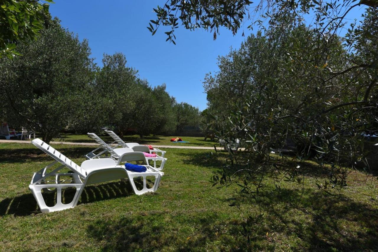 Apartments Bibinje By The Beach מראה חיצוני תמונה