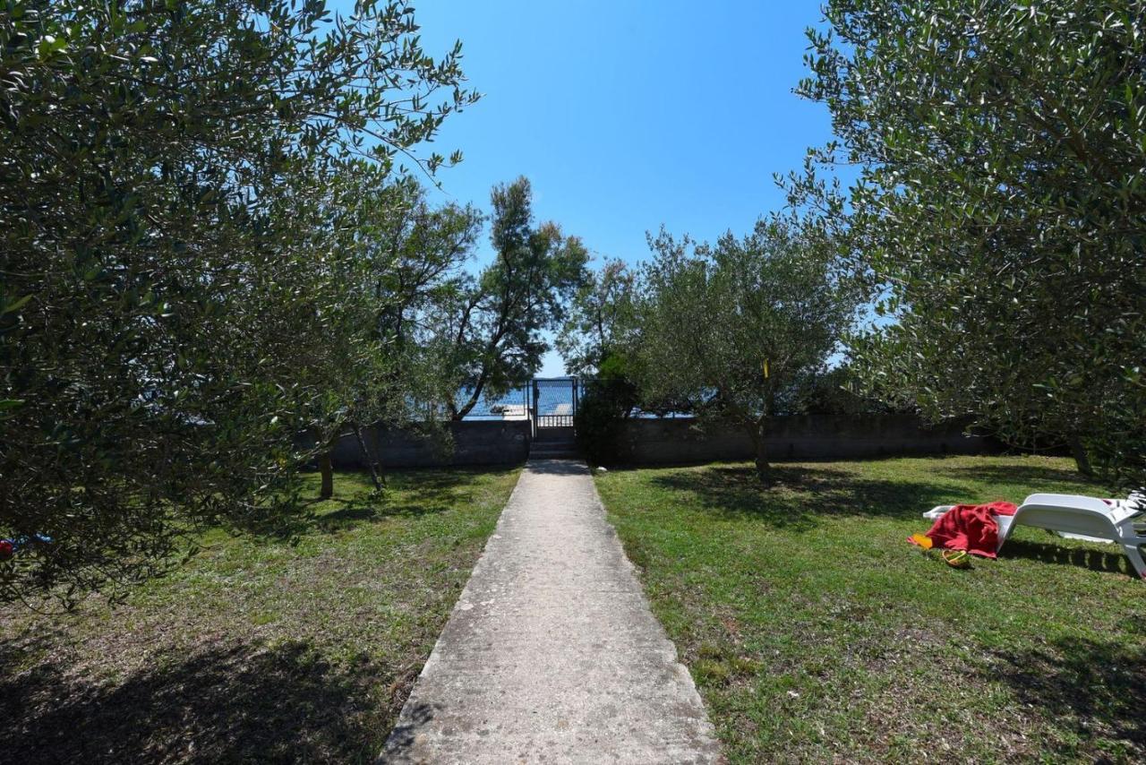 Apartments Bibinje By The Beach מראה חיצוני תמונה
